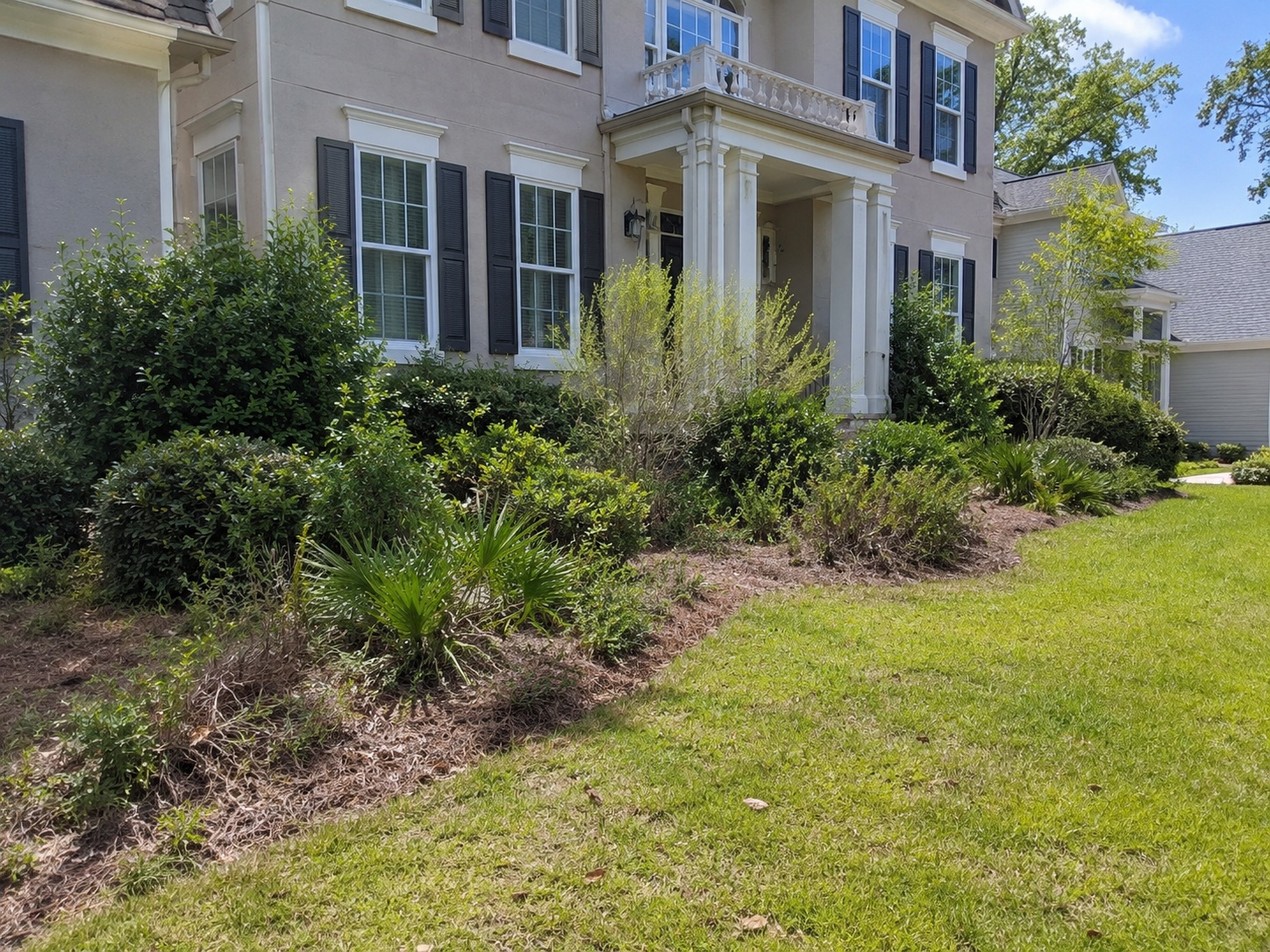 Representative overgrown yard before landscaping